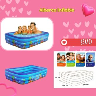 Alberca Inflable (262x165x60)