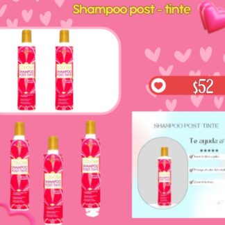 Shampoo post - tinte