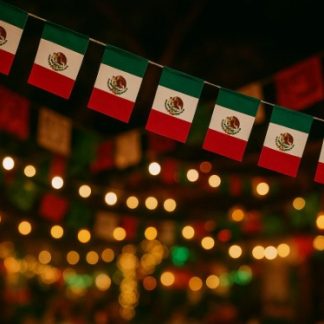 Guía de bandera de tela delgada