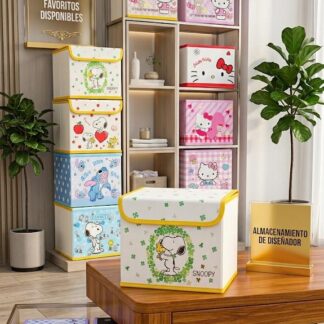 Caja Organizadora