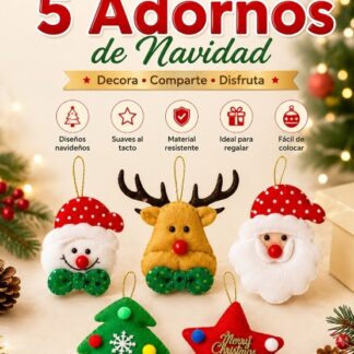 Set de 5 adornos navideños
